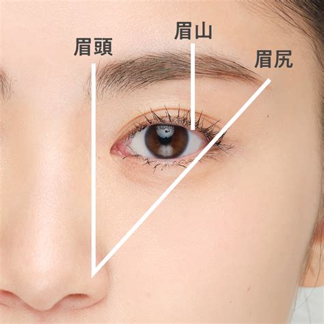 右眉毛|【眉メイク丁寧解説】基本の眉の描き方や整え方、お悩みまでプ。